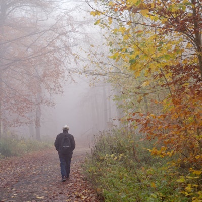Ein Mann geht allein im Nebel über einen Waldweg.