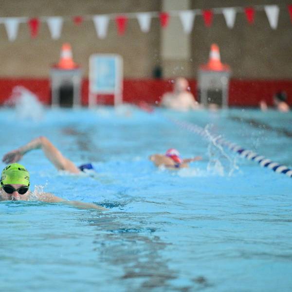 Das Bild zeigt Schwimmer in einem Schwimmbad.