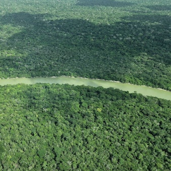 Deutschland gibt viel Geld für einen neuen Tropenwaldfonds.