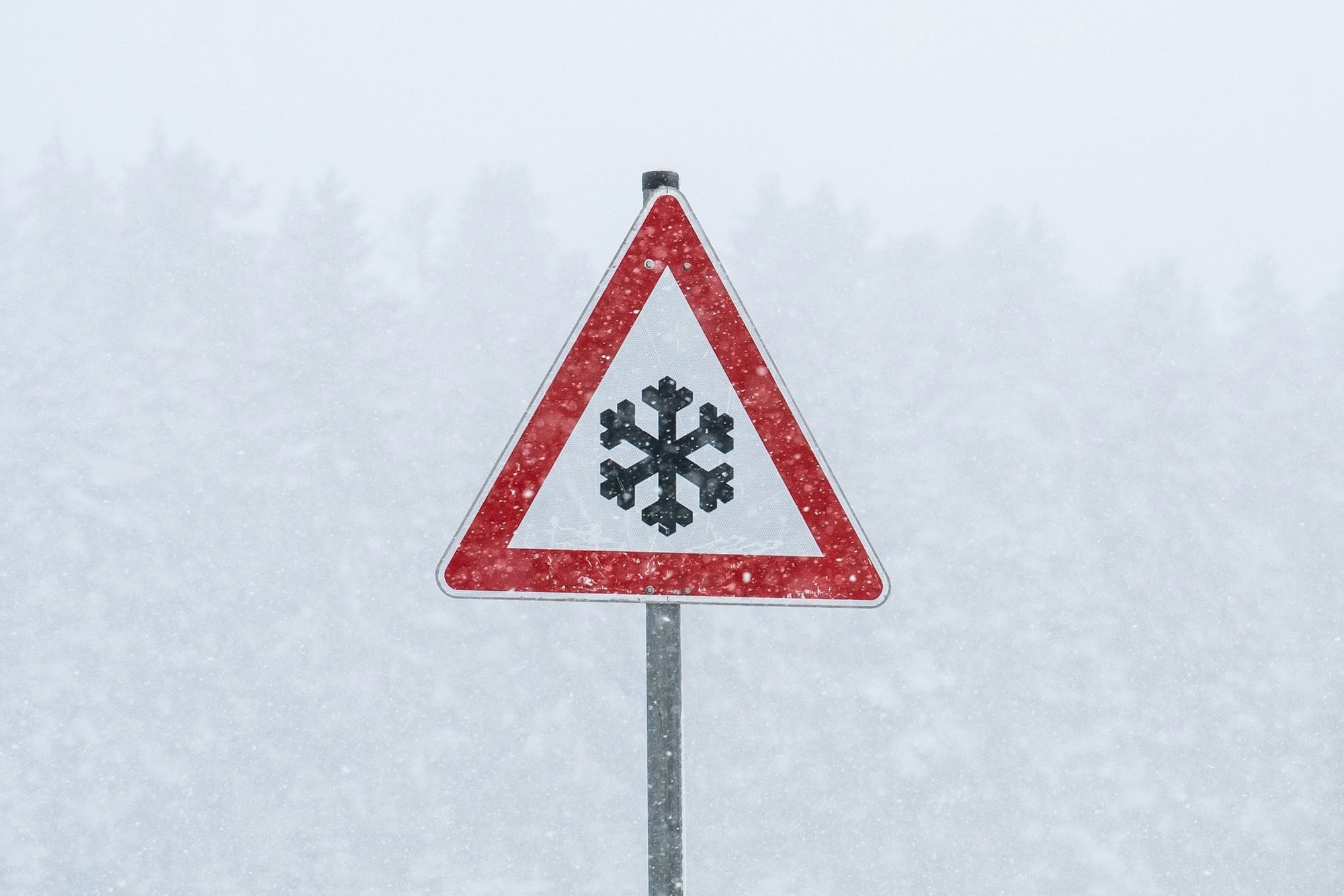 Im Hochschwarzwald sei sogar bis zu 20 Zentimeter neuer Schnee möglich, so der DWD.