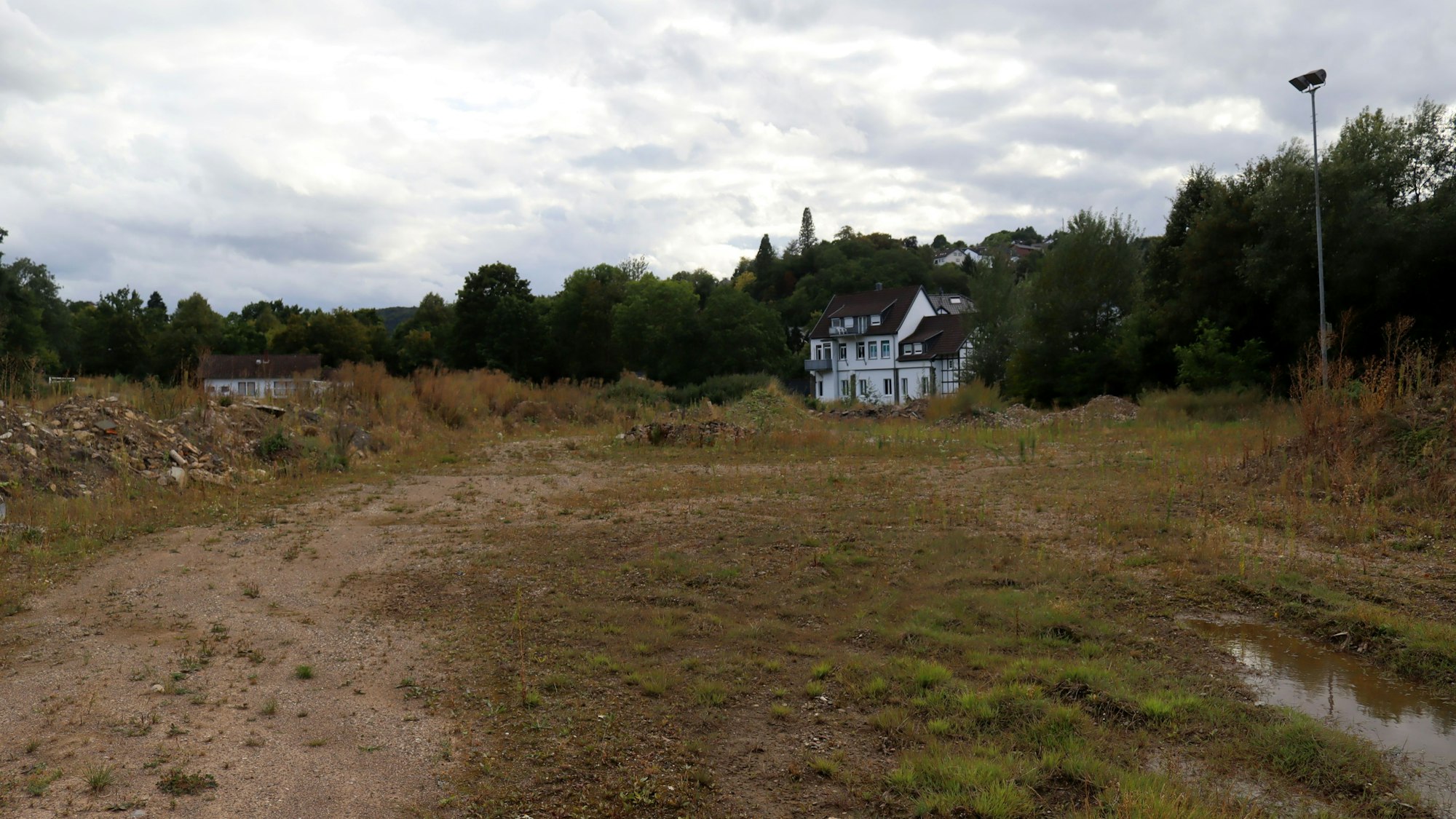 Das frühere Sportplatzgelände ist verwildert. Am Rand ist ein Flutlichtmast zu erkennen.