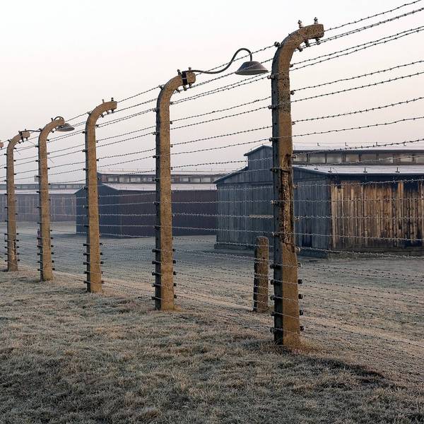 Häftlingsbaracken des ehemaligen Konzentrationslagers Auschwitz-Birkenau hinter einem hohen Stacheldrahtzaun, Landschaft
