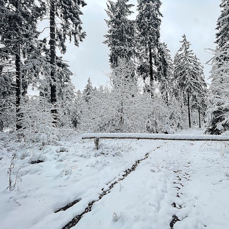 Blick auf einen verschneiten Wanderweg bei Udenbreth.