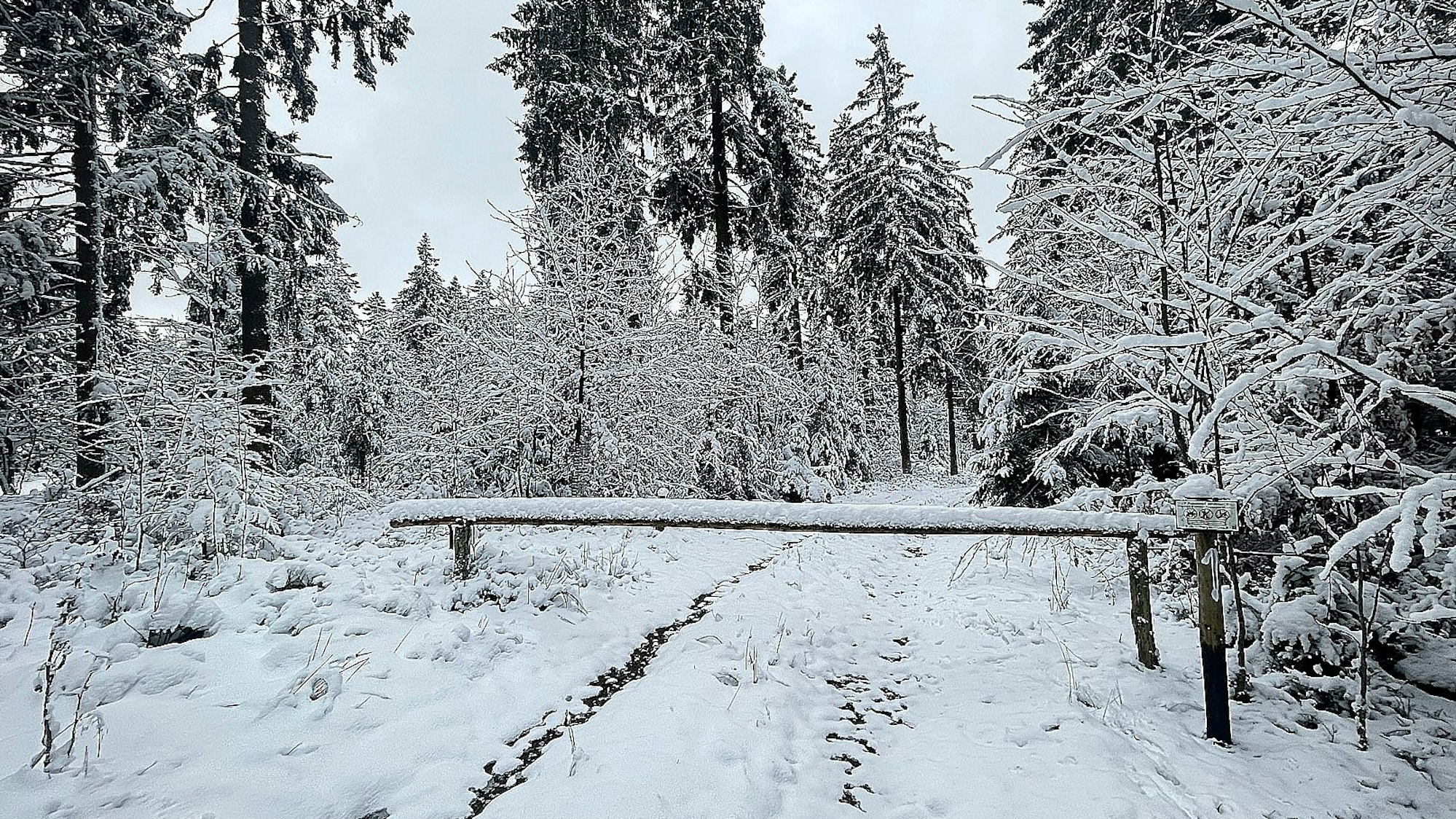 Blick auf einen verschneiten Wanderweg bei Udenbreth.
