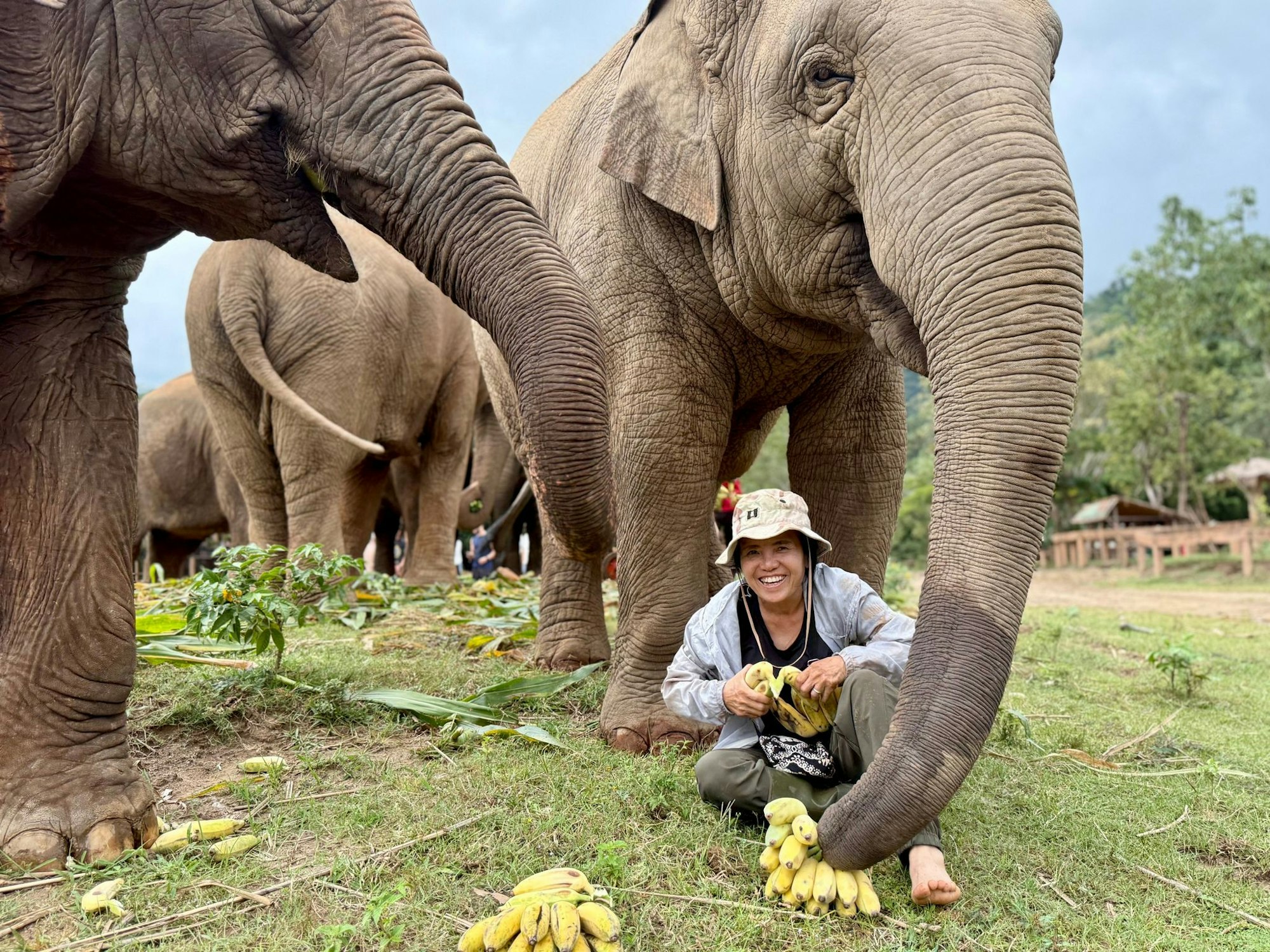 Saengduean «Lek» Chailert verbringt täglich viel Zeit mit ihren Elefanten.