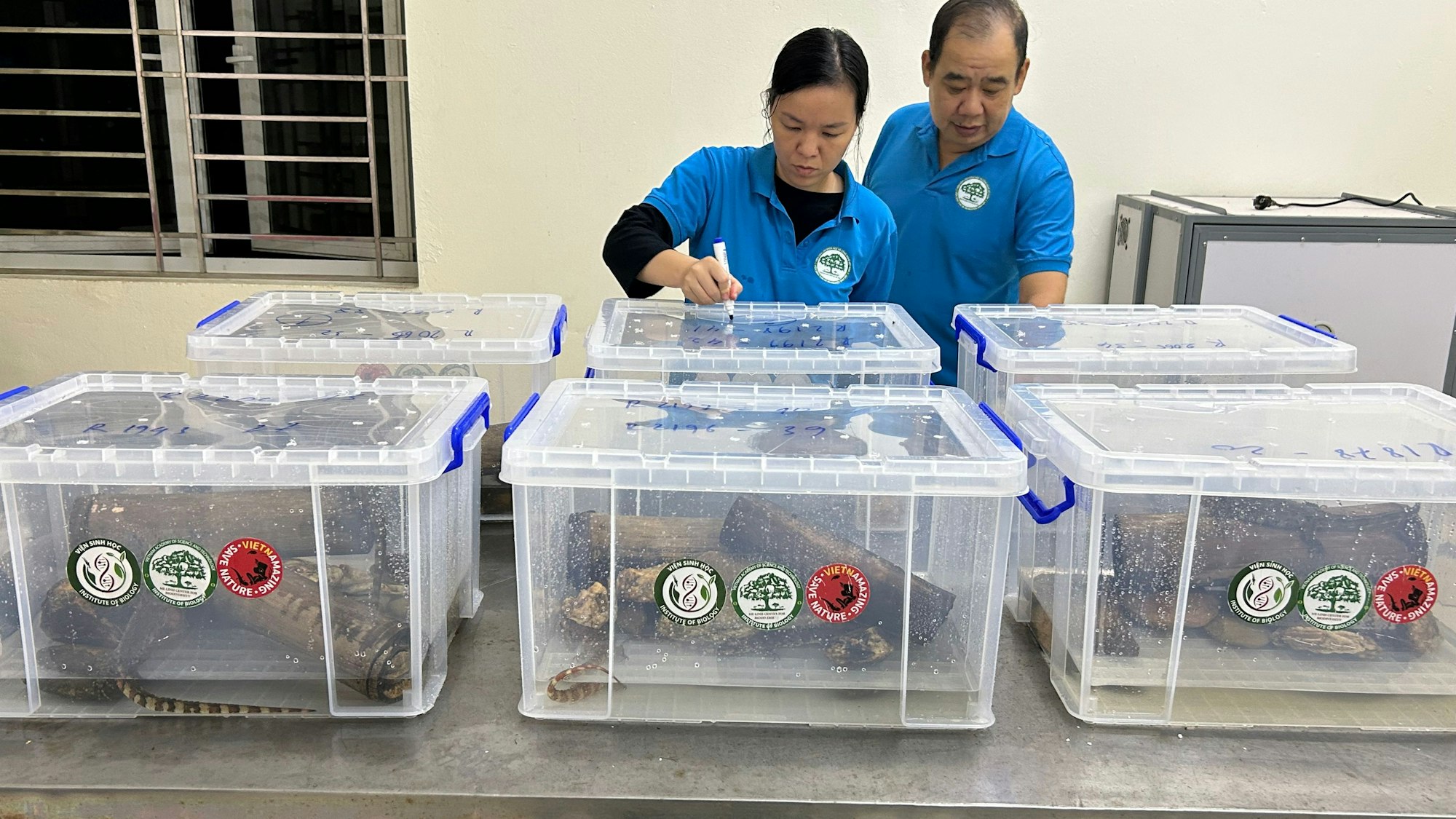 Zoomitarbeiter in Vietnam beschriften Kisten mit Echsen aus Köln.