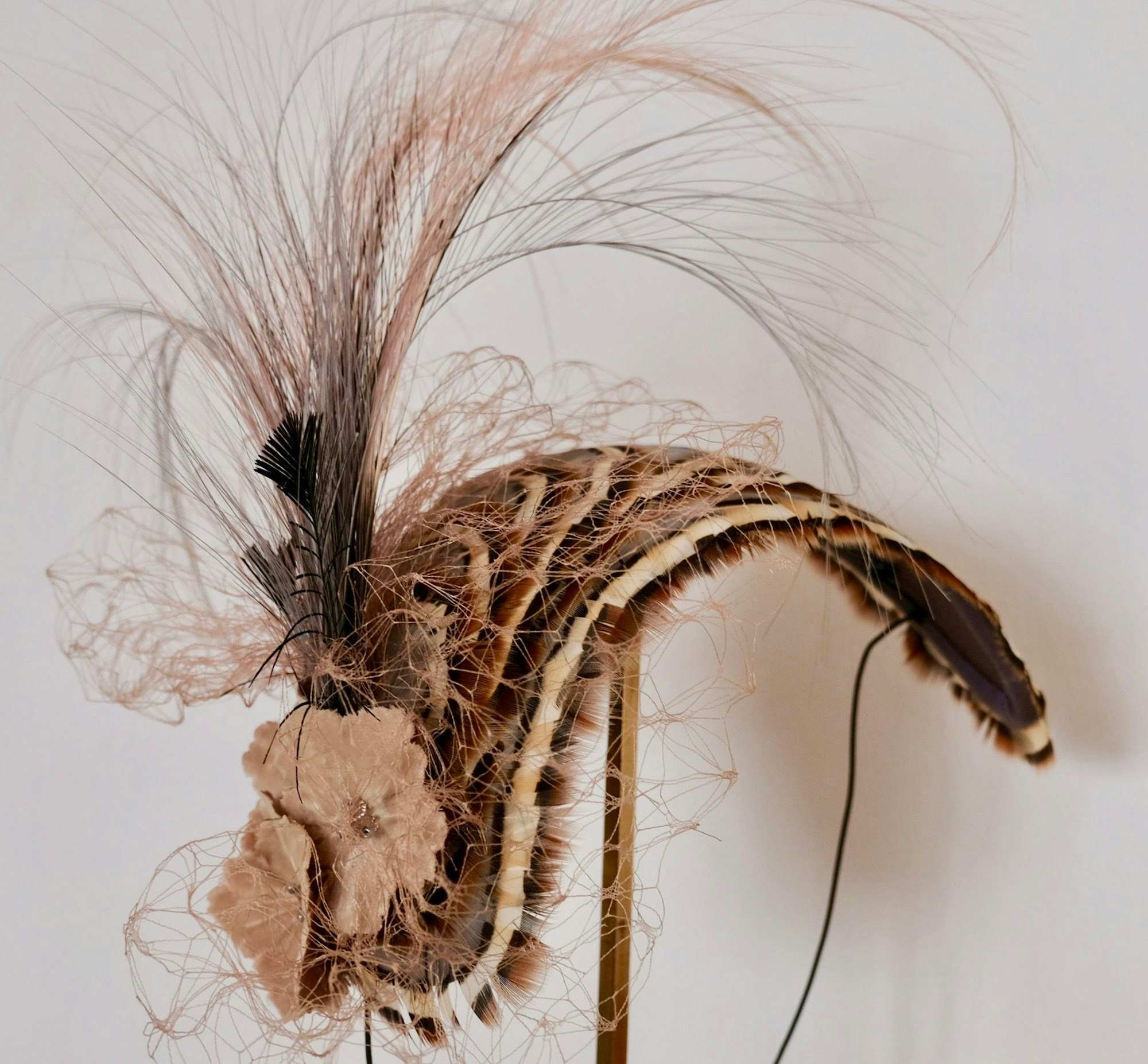 Eine kunstvolle Hutkreation aus Federn ist zu sehen.