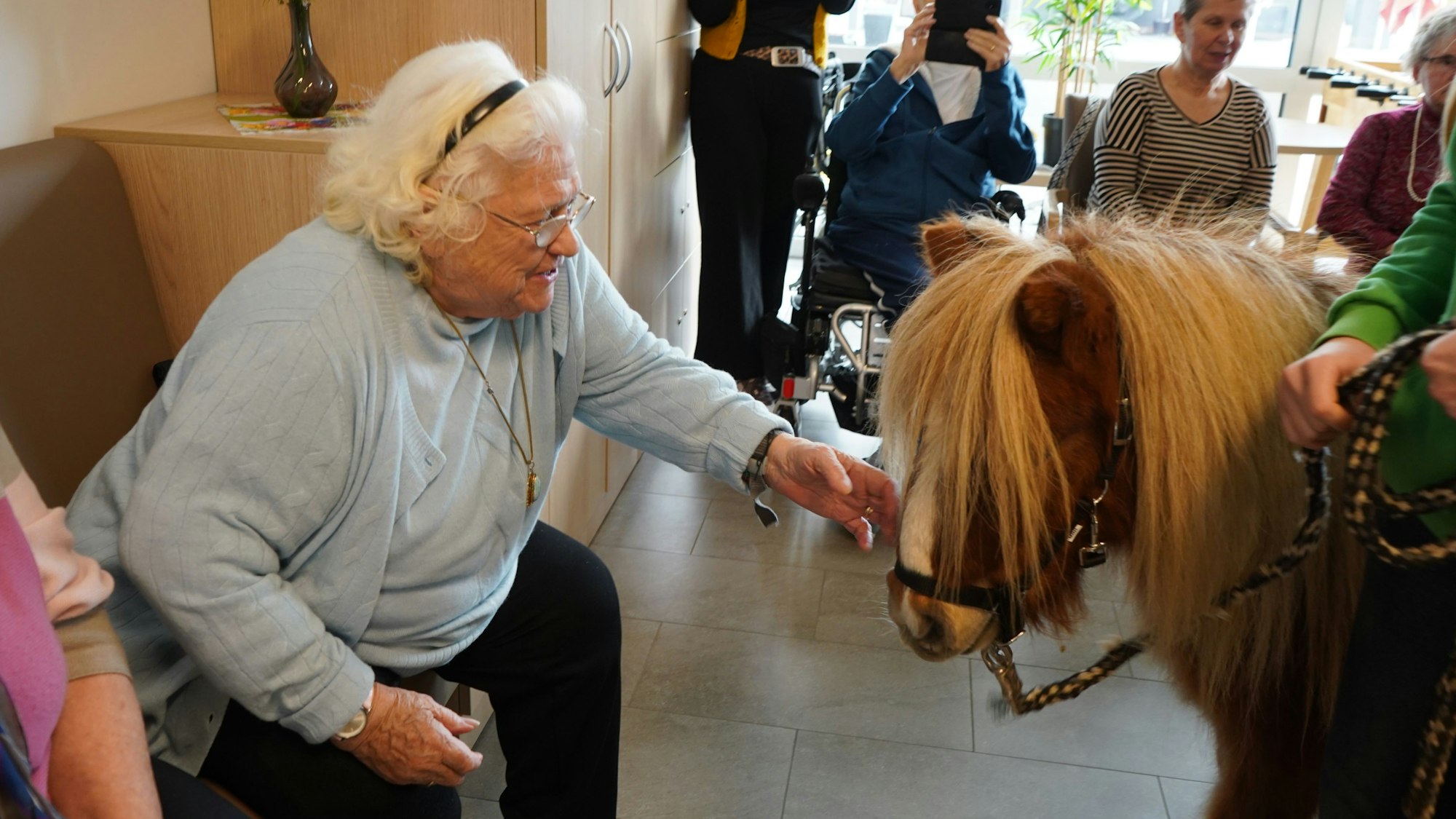 Das Foto zeigt eine ältere Dame, die ein Pony streichelt.