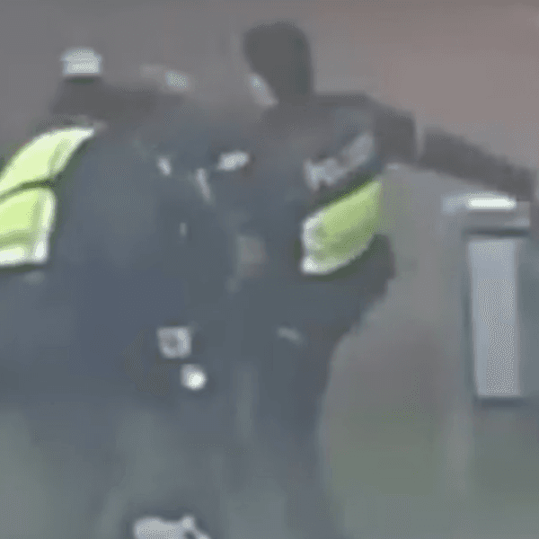 Das Bild zeigt Polizisten, die auf eine Person schlagen und treten.