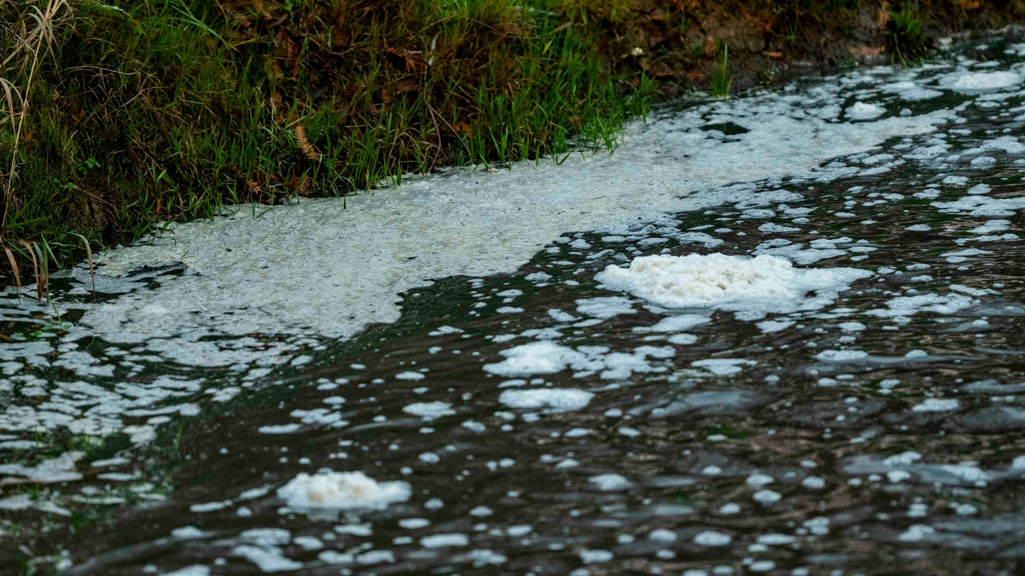 Das Bild zeigt das Wasser der Erft mit Schaum.