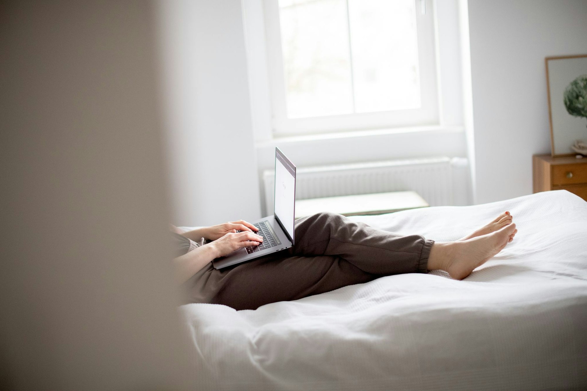 Immer mehr Behördendienste wie Adressänderung oder Führungszeugnis sind mittlerweile bequem online verfügbar: Der Antrag sollte direkt bei der zuständigen Behörde gestellt werden.