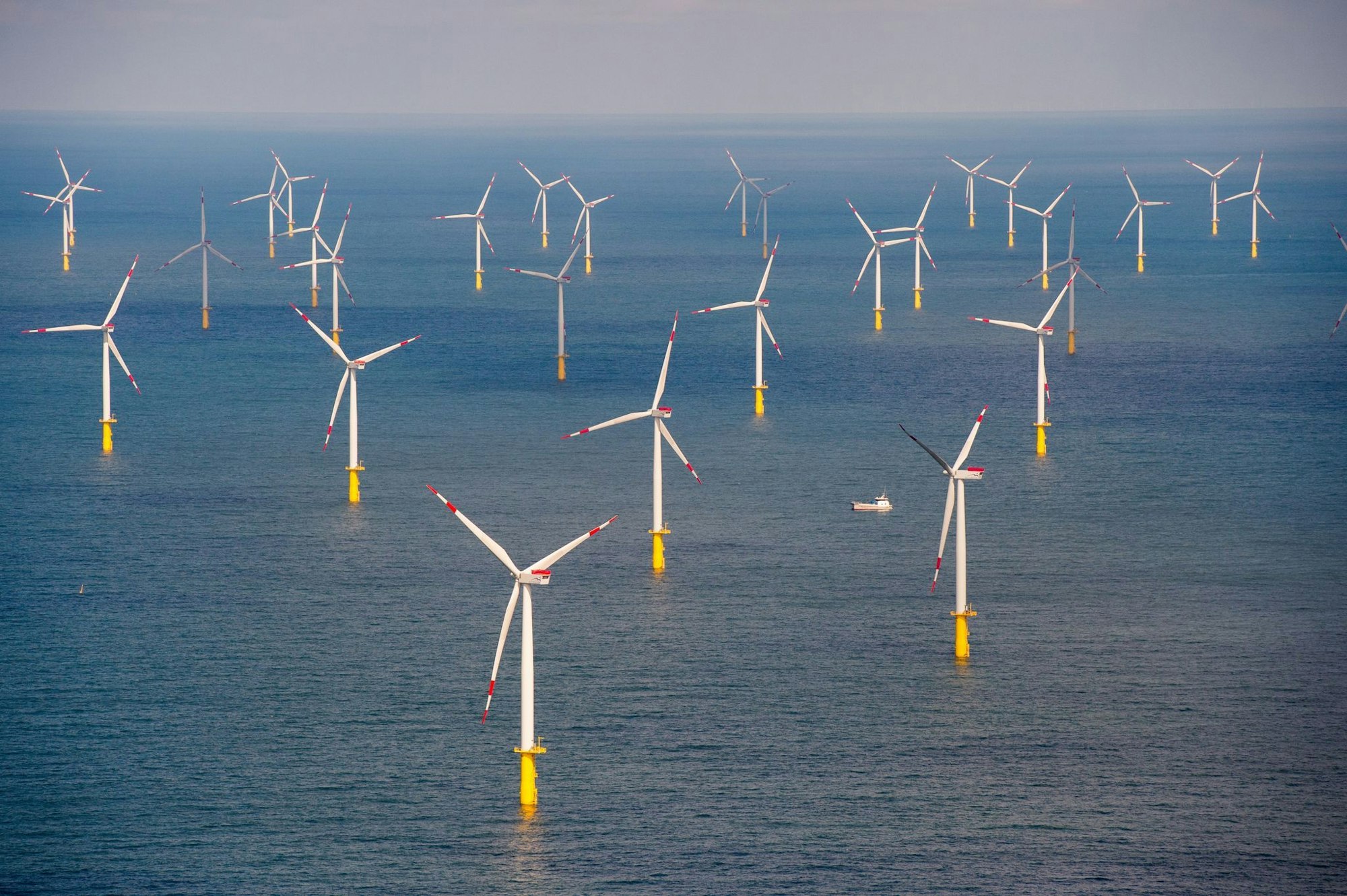 Laut den Richtern fehlt es an Erkenntnissen dazu, ob der Windpark den Lebensraum der Seetaucher beeinträchtigt. (Archivbild)