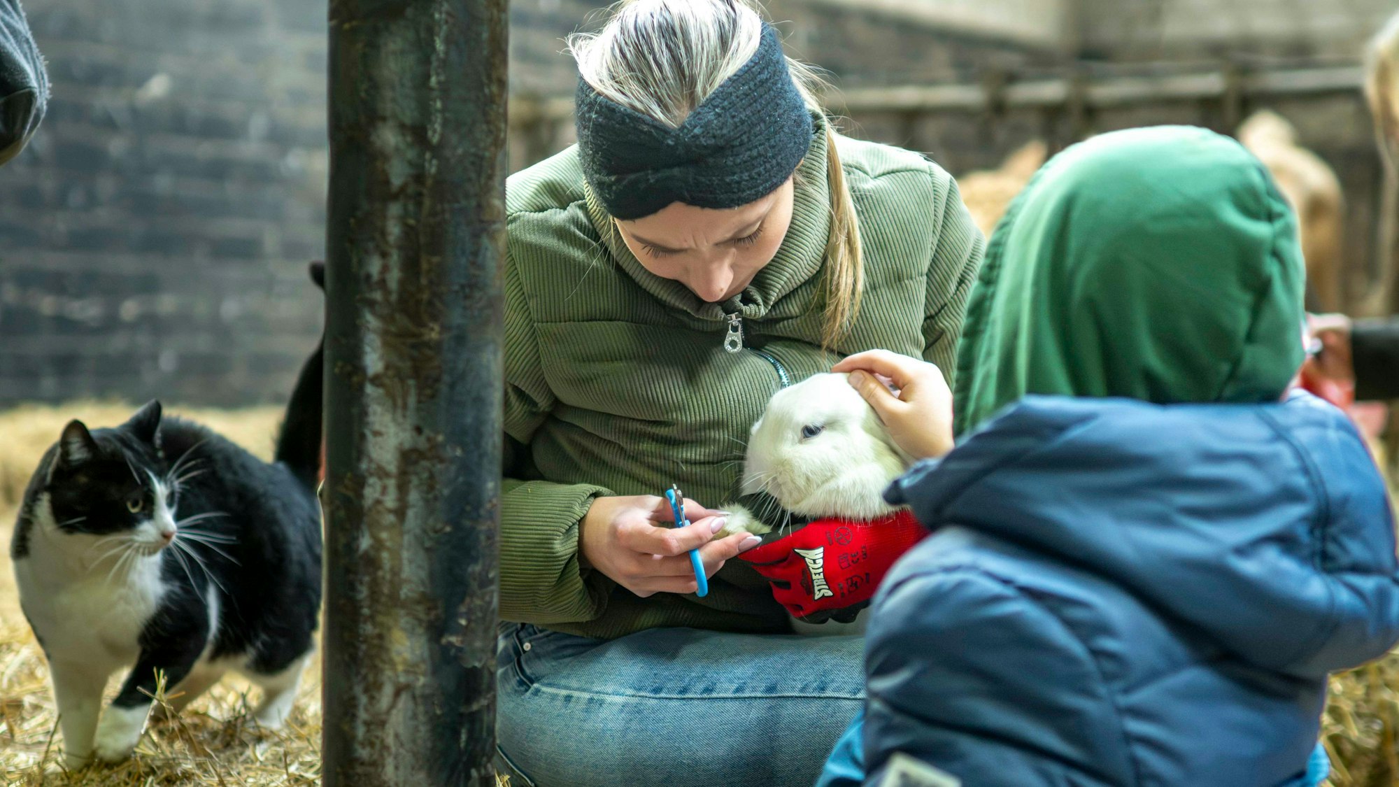 Das Bild zeigt einen Schüler, der ein Kannichen streichelt, während es die Krallen geschnitten bekommt. Eine Katze schaut ebenfalls zu.