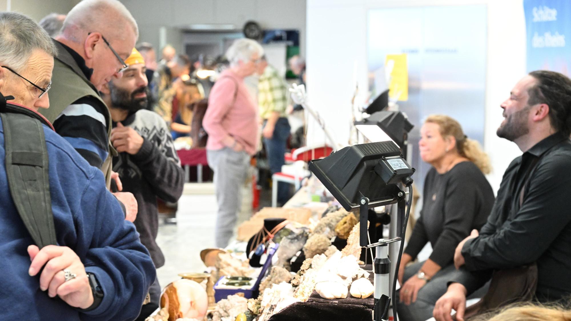 Besucher betrachten Ausstellungsstücke der „Geologica“.