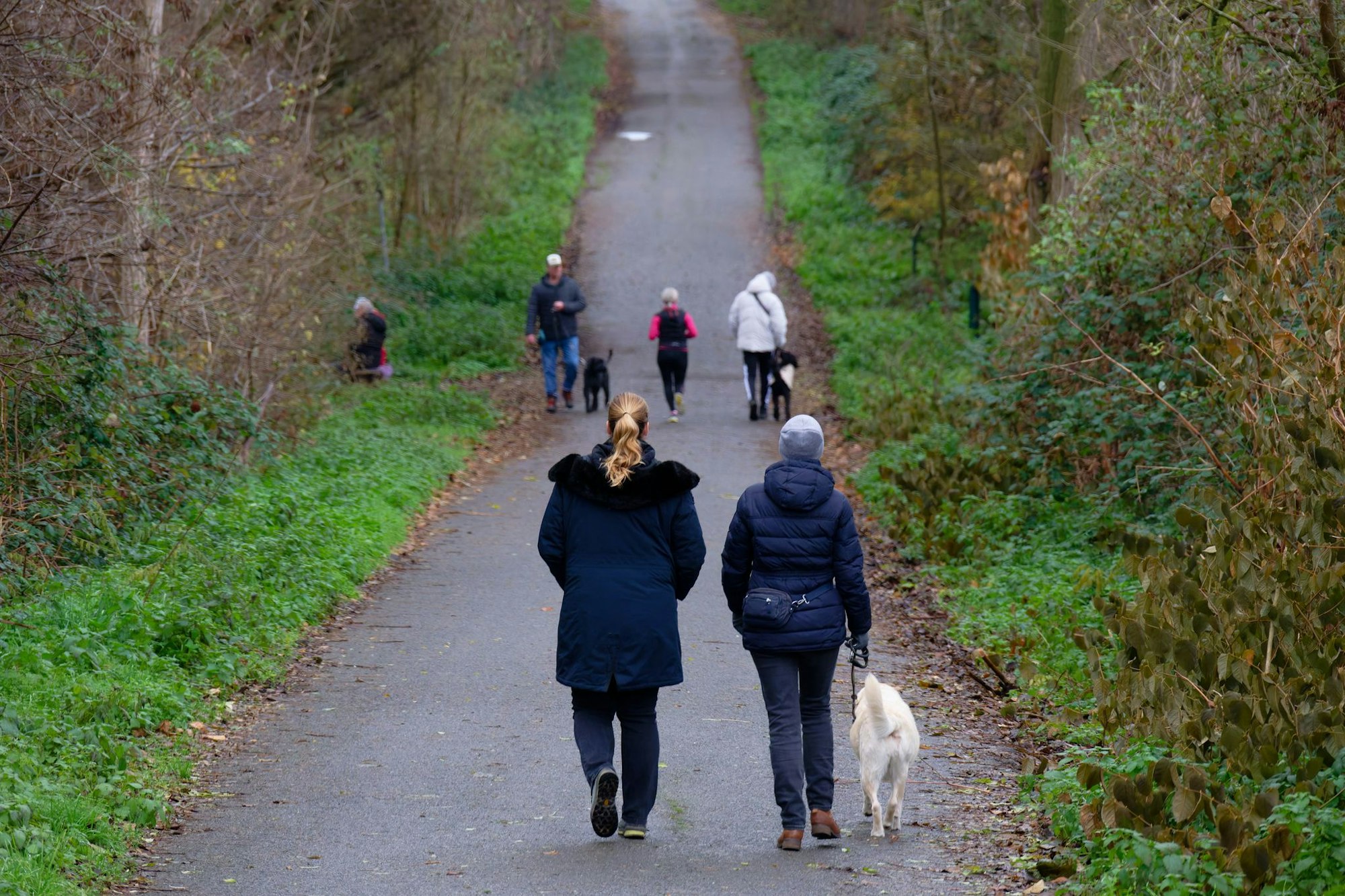 Zum Wochenstart wird es in vielen Regionen Deutschlands heiter bis wolkig.