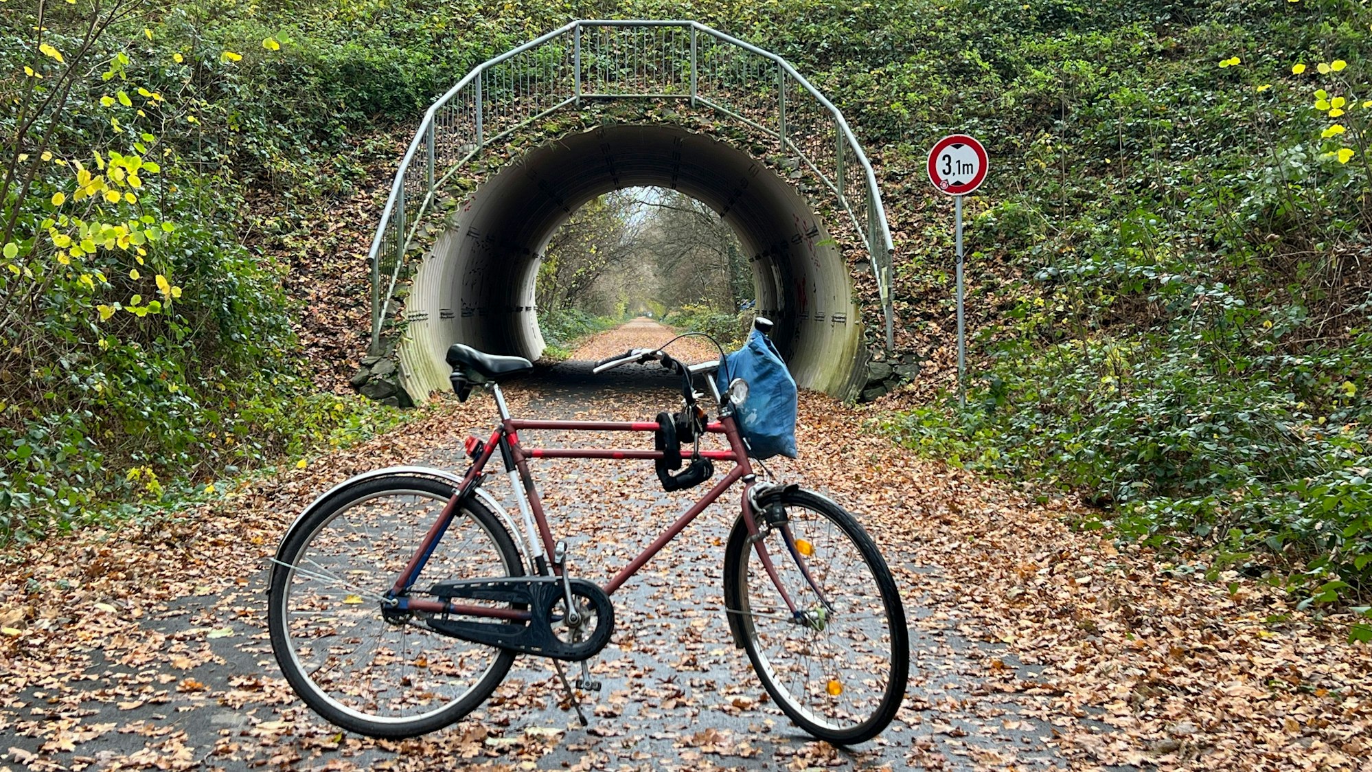Die Balkantrasse bei Romberg mit einem Bayerrad. Foto: Ralf Krieger
