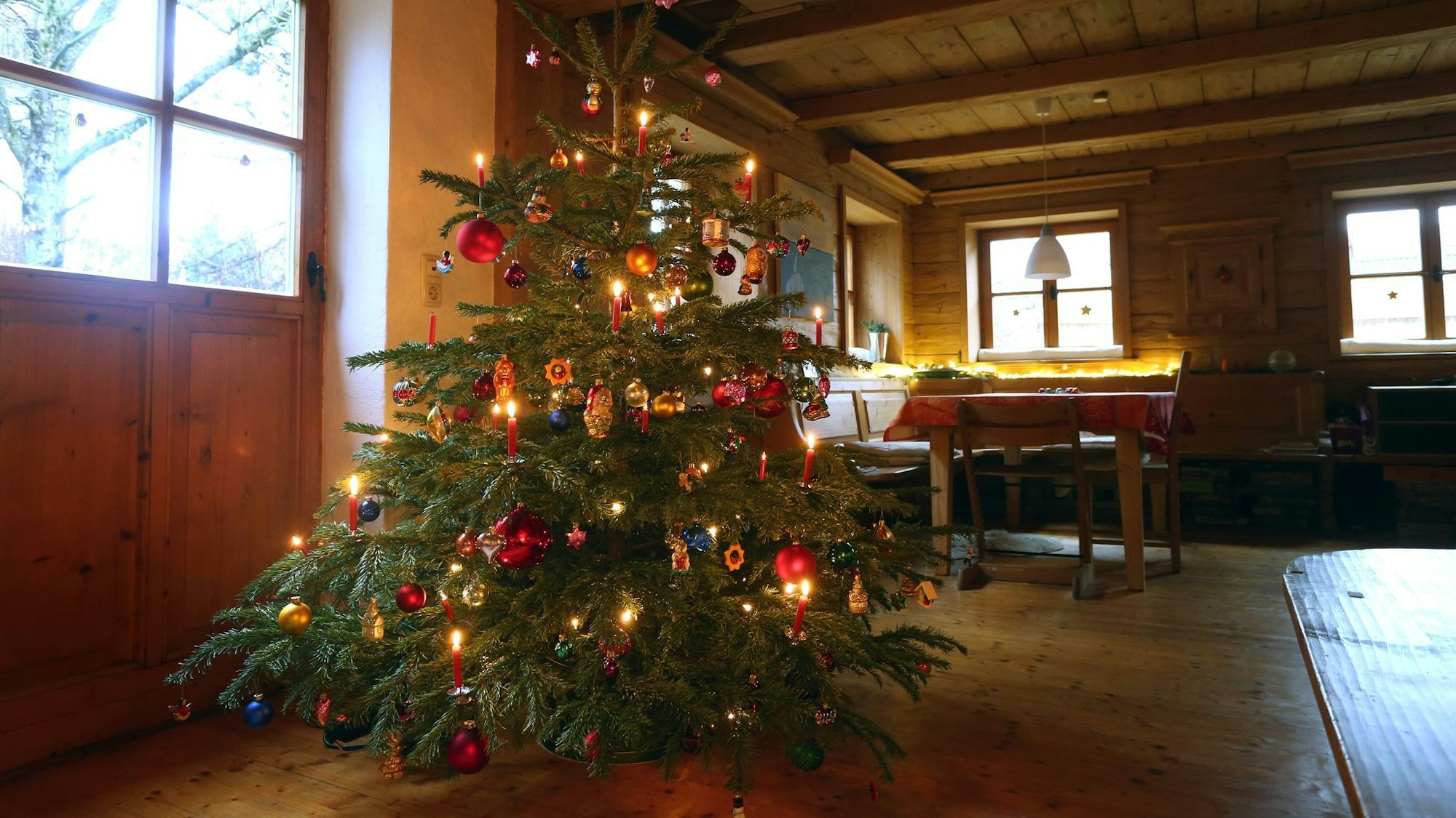 Ein Weihnachtsbaum mit echten Kerzen - da kommt bei vielen Leuten so richtig Feststimmung auf.