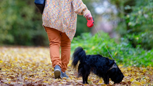 Eine Frau geht mit einem Hund spazieren.