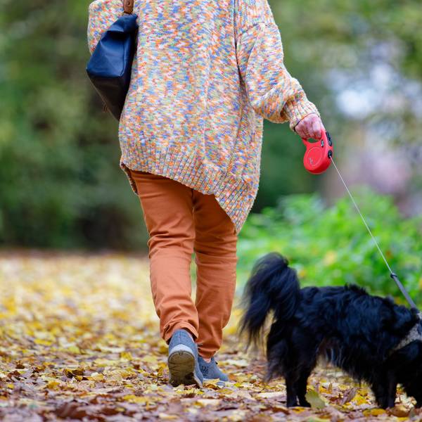 Eine Frau geht mit einem Hund spazieren.