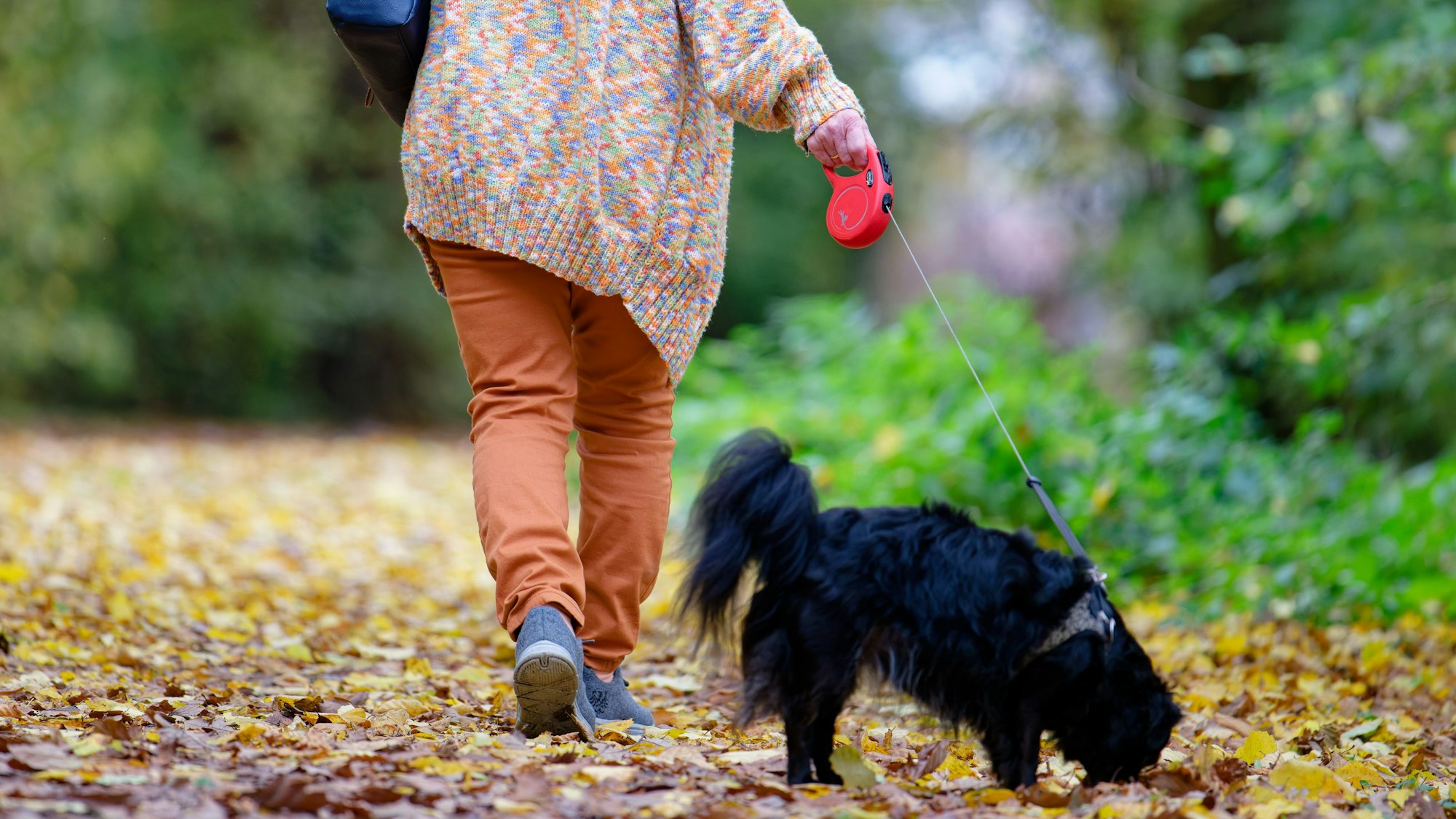 Eine Frau geht mit einem Hund spazieren.