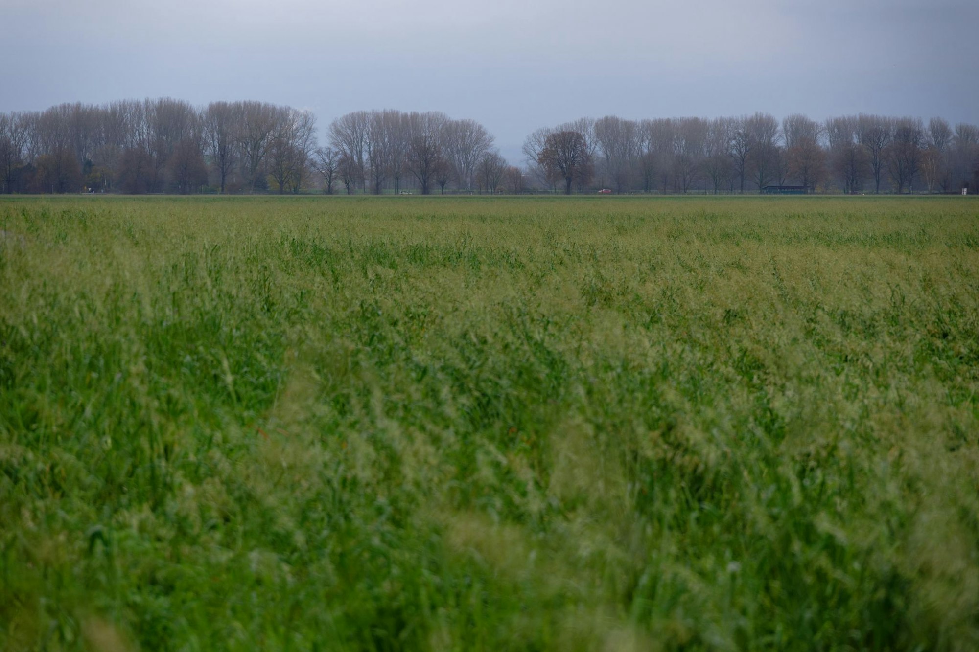 In den nächsten Tagen ist immer wieder Regen möglich. In der Nacht wird es bei Temperaturen knapp unter 0 Grad auch mal glatt. (Archivbild)