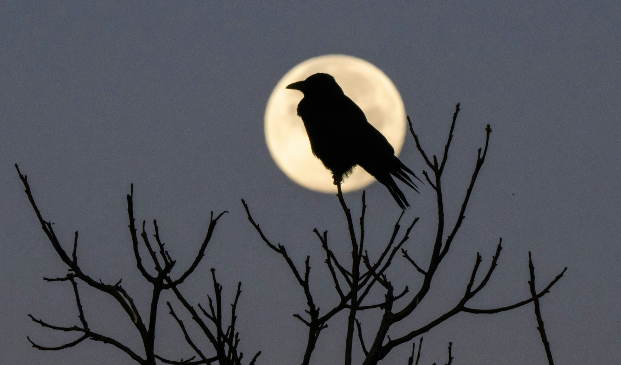 Faktoren wie Licht, die Tagesstruktur, psychische Verfassung sowie die Umgebung haben einen großen Einfluss auf unseren Schlaf, sagt Chronobiologe Spitschan. (Archivbild)