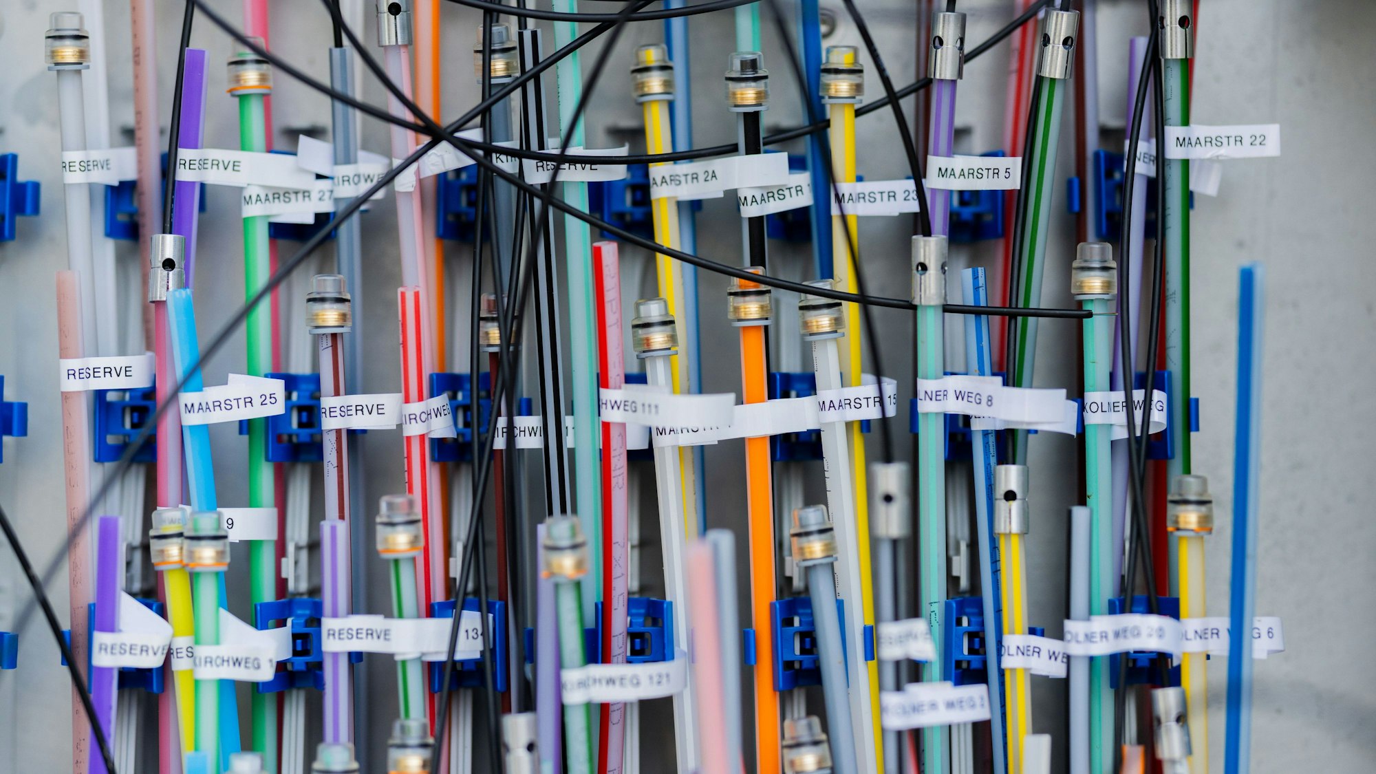 Glasfaserleitungen liegen in einem Verteilerkasten. Die Zahl der Nutzer steigt langsam