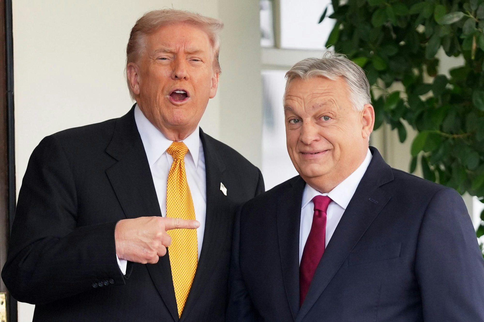 Trump setzt in Europa auf Politiker wie den ungarischen Regierungschef Viktor Orban. (Archivbild)