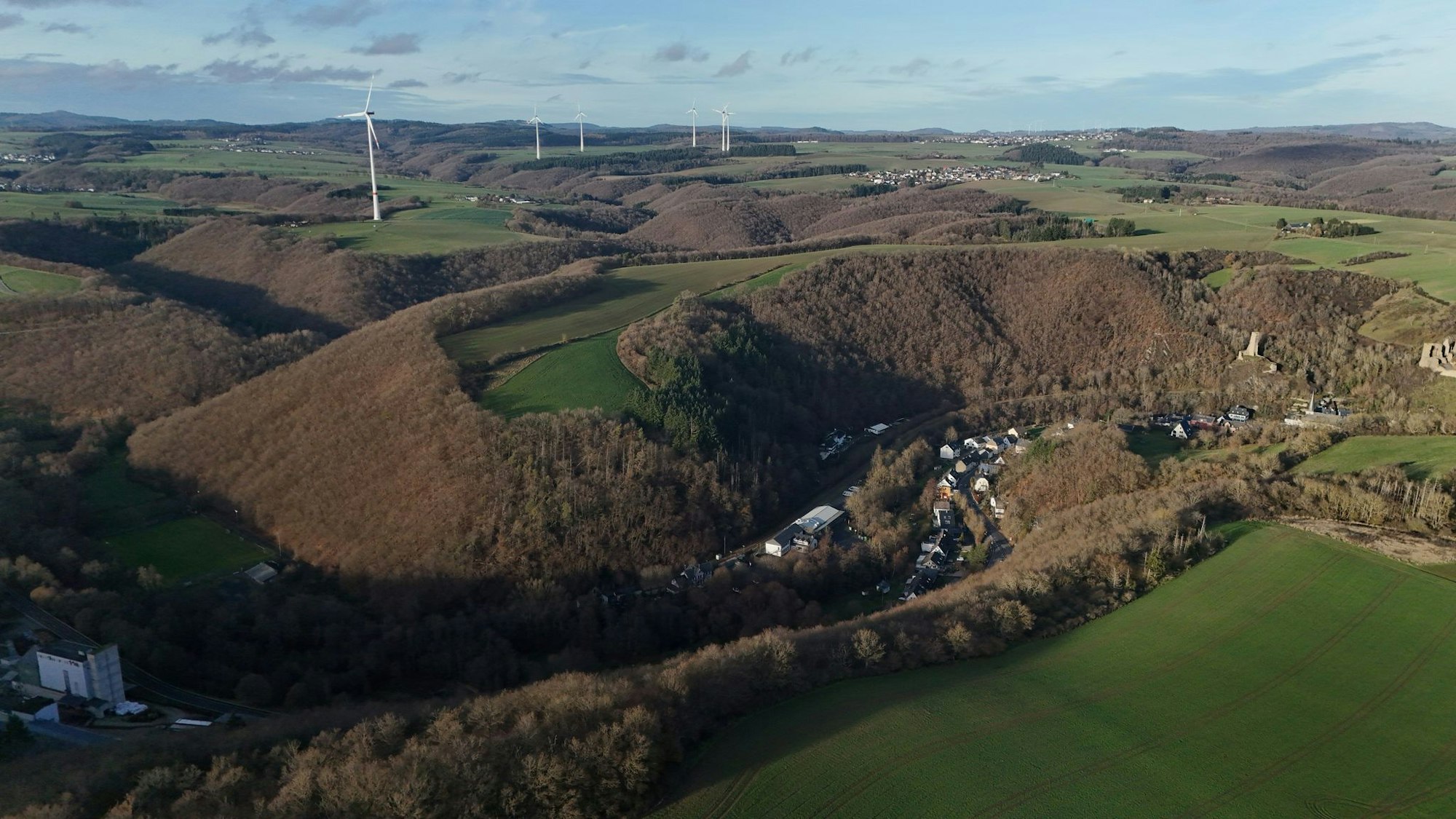 Die Leiche wurde in einem Waldstück bei Monreal entdeckt. (Archivbild)