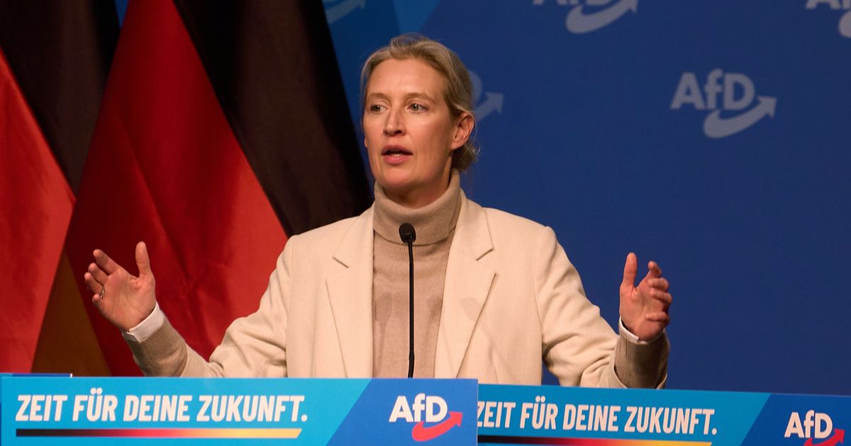 Alice Weidel: Verfassungsschutz „schmierige Stasi-Spitzel"