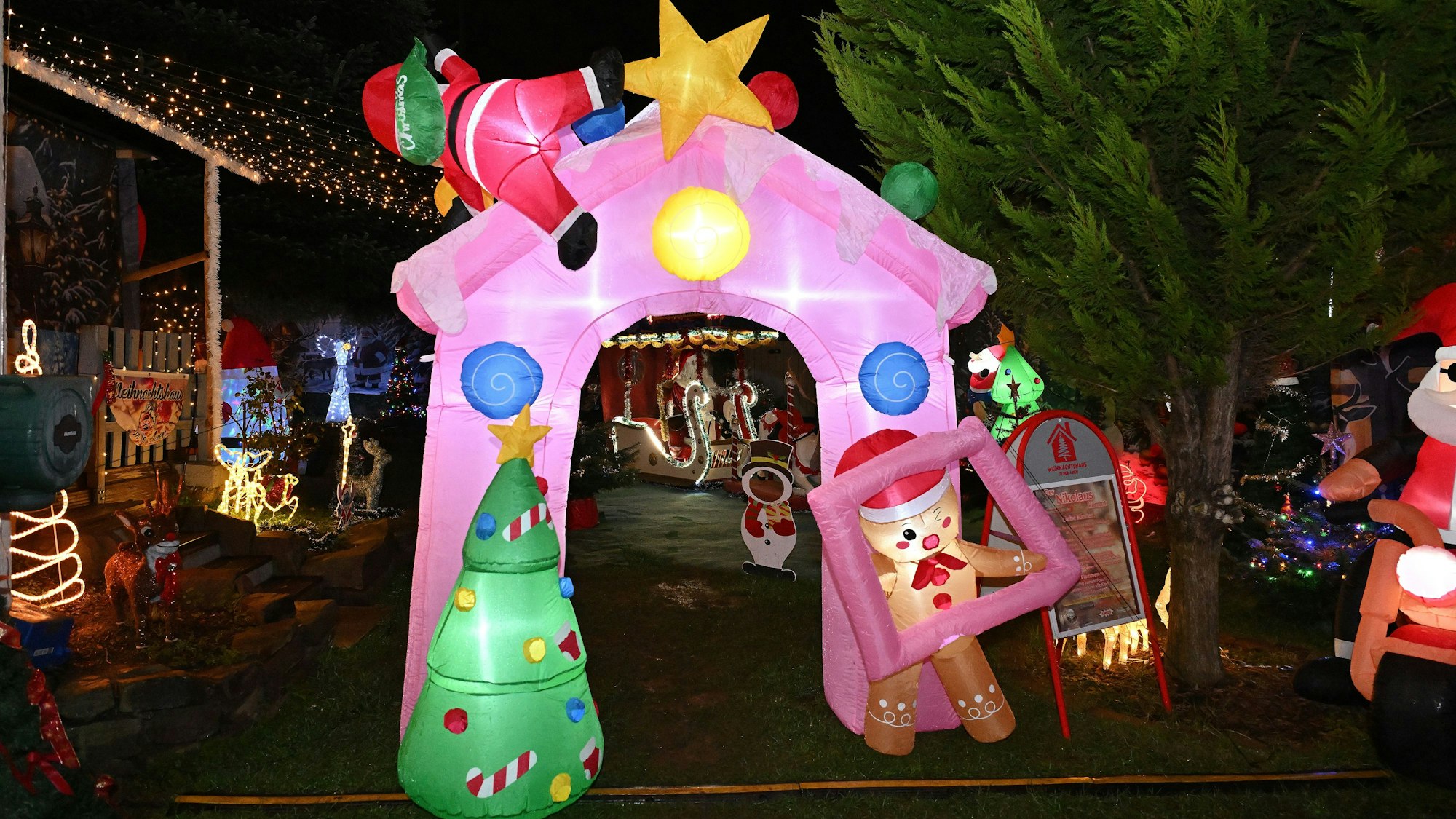 Ein pinker Torbogen steht im Garten.