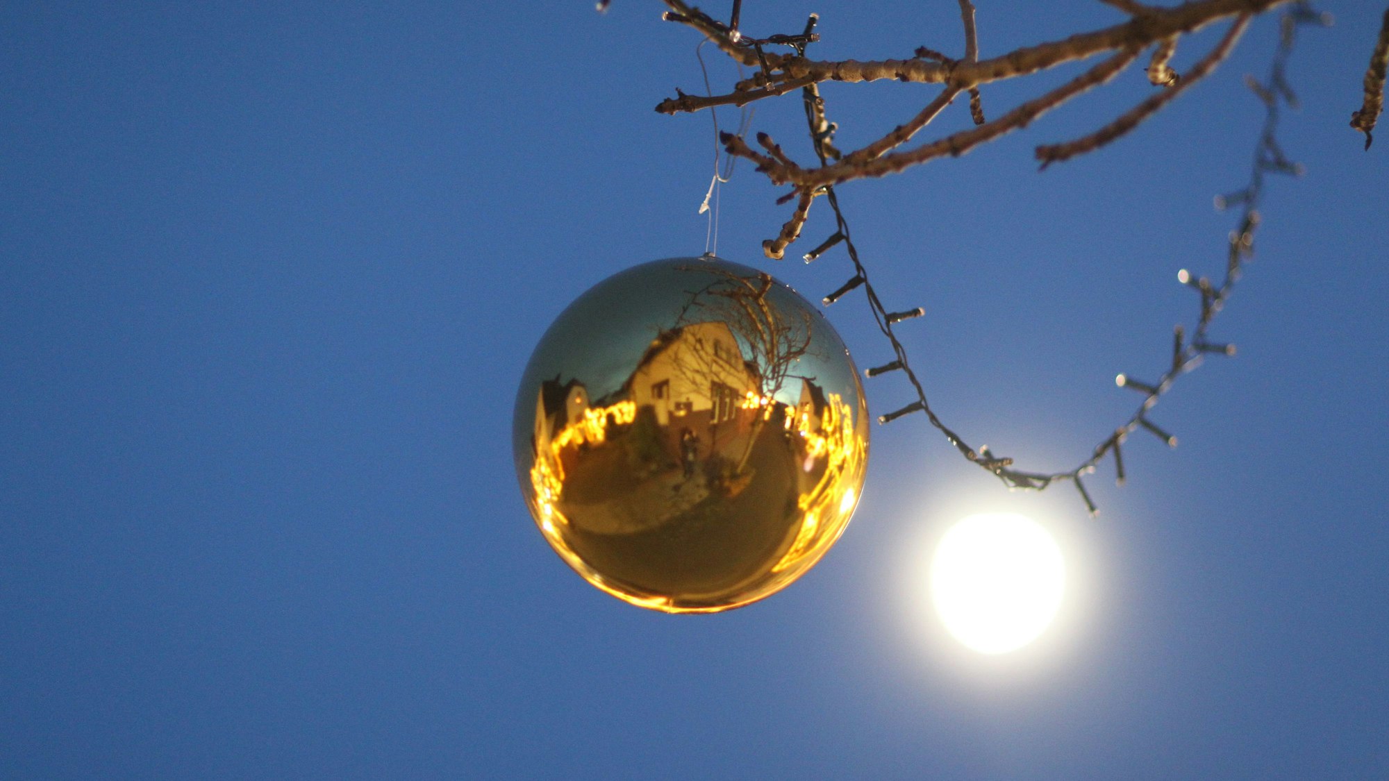 Viele große Kugeln hängen in den Bäumen.