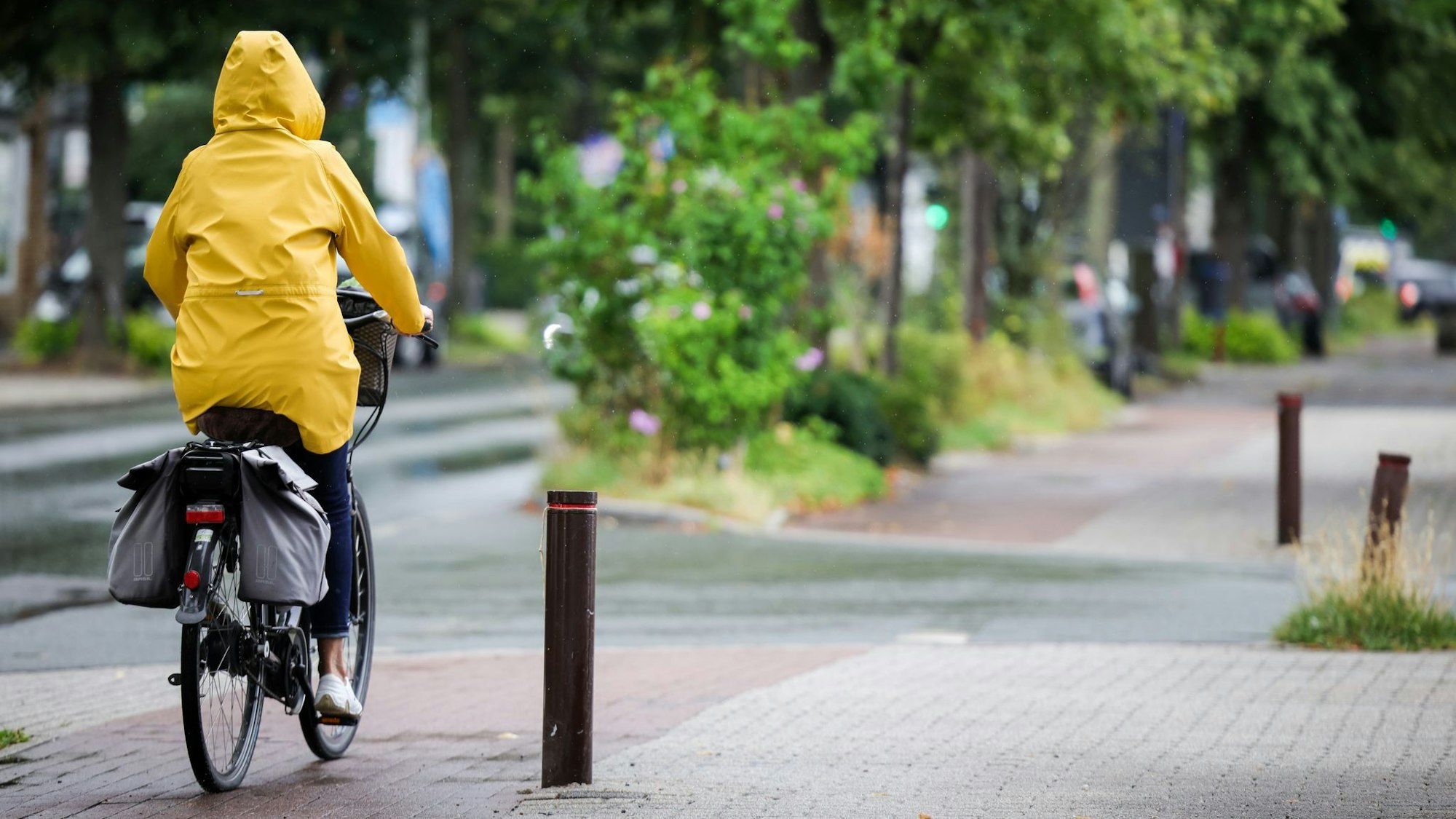 In NRW fällt in den kommenden Tagen immer wieder Regen. (Symbolbild)