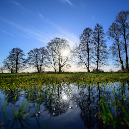 Es ist nass, aber nicht besonders kalt, diesen Dezember. Das ist jedoch kein ungewöhnliches Phänomen mehr.