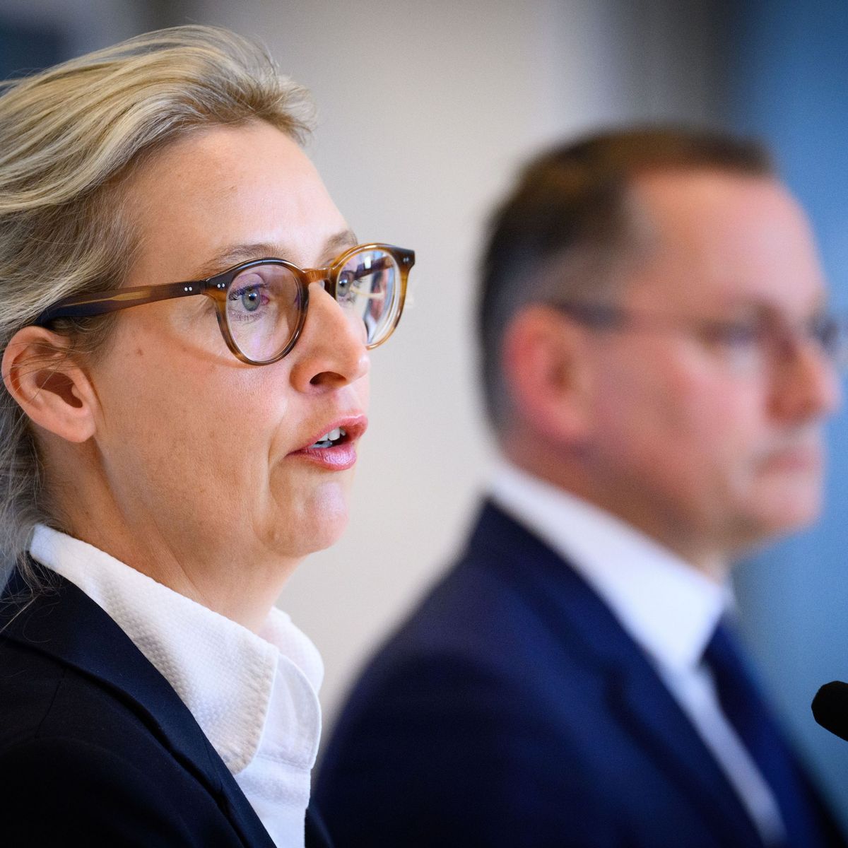Image for Menschenverachtend: Weidel-Aussagen sorgen für Empörung bei Polizei und Politik