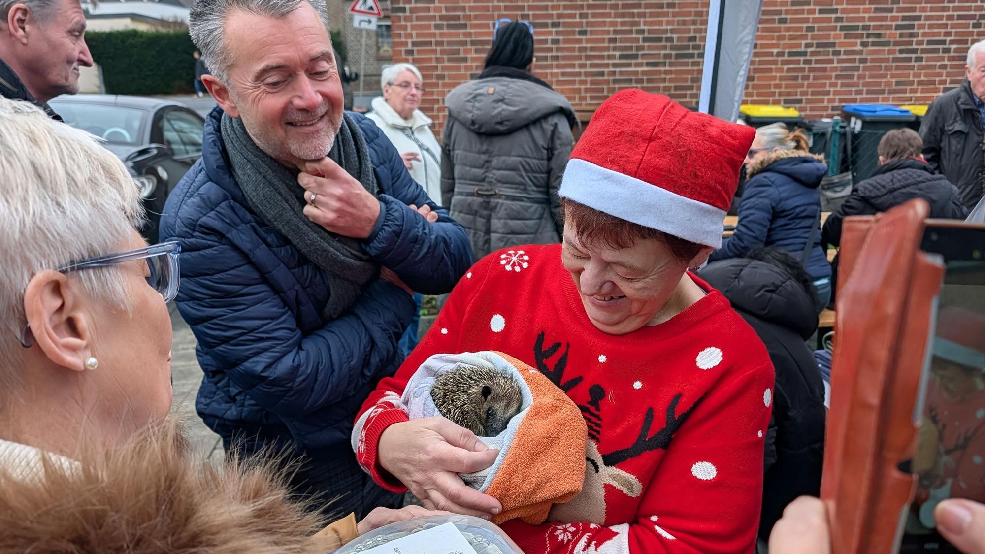 Das Foto zeigt Manuela Hilgert mit Nikolausmütze und Weihnachtspullover und einem in ein Handtuch gewickelten Igel.