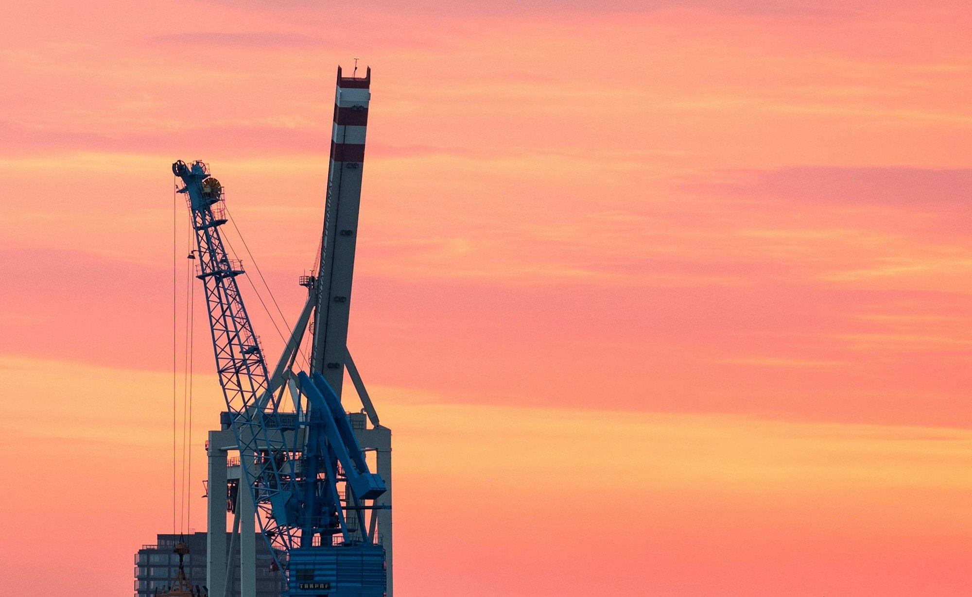 Volkswirte gehen davon aus, dass die deutsche Wirtschaft 2026 wieder stärker wachsen wird. (Symbolbild)