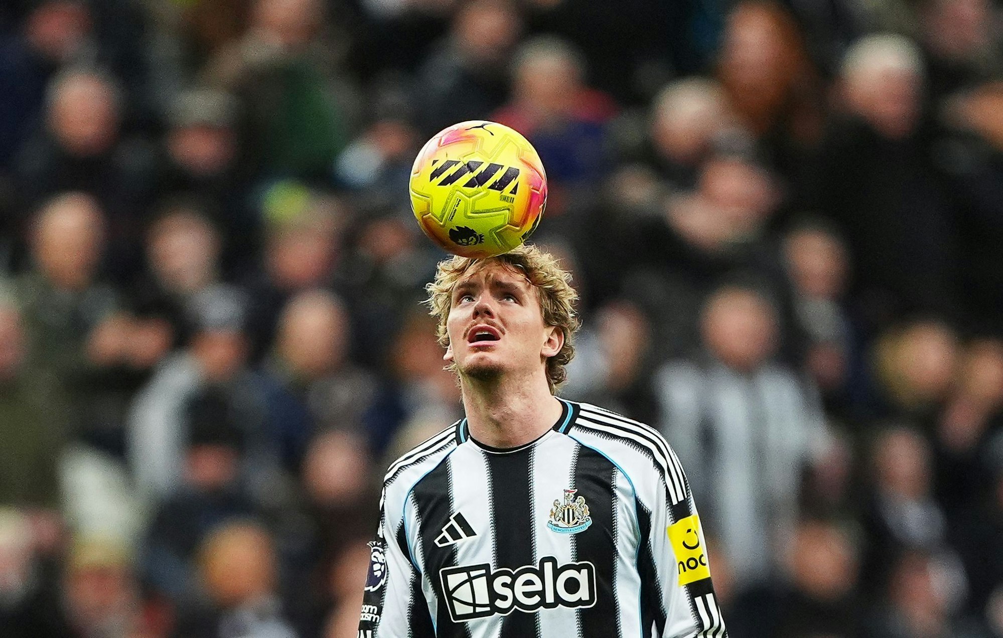 Ist schnell in England angekommen: Nick Woltemade.