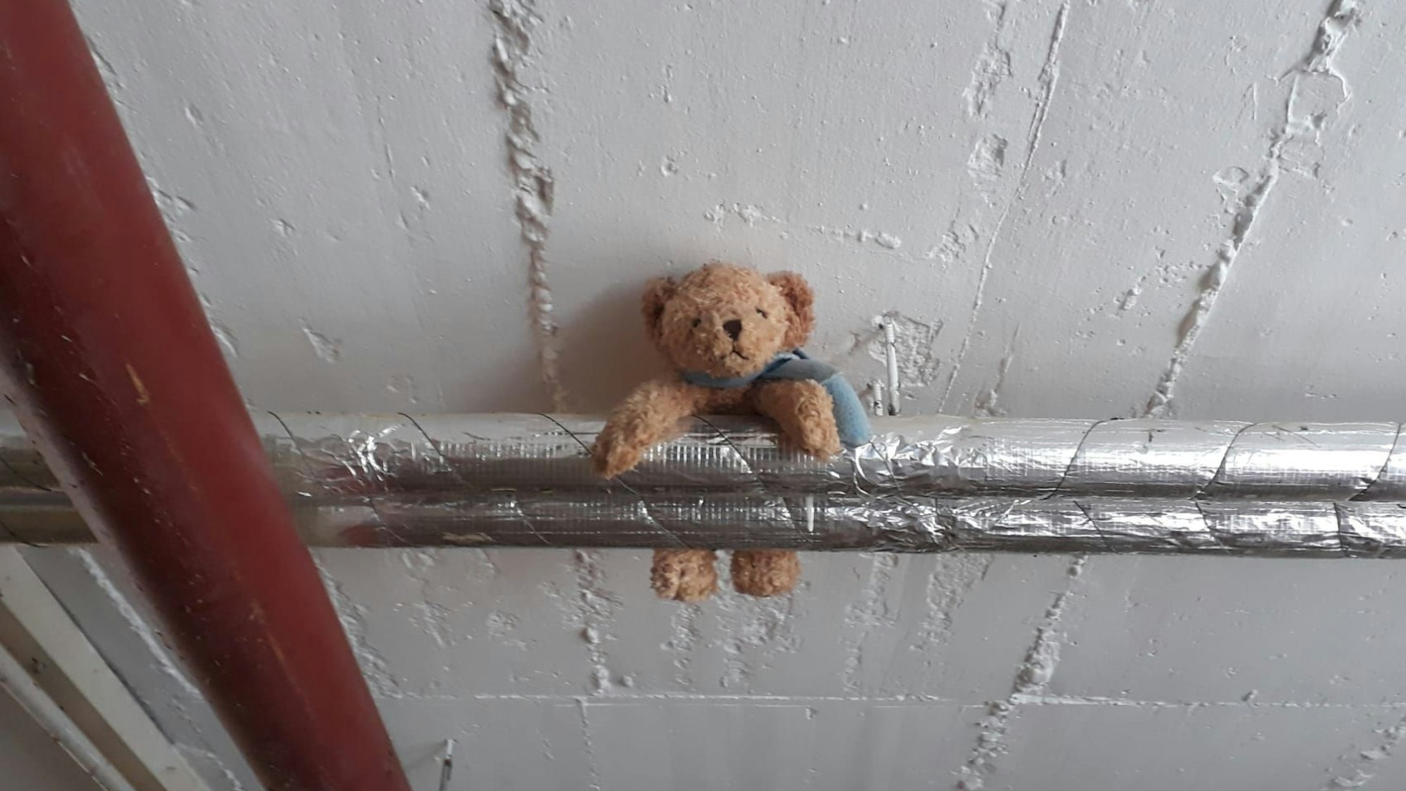 Dieser Teddy aus der Spielzeugabteilung hatte die Flut „überlebt“. Das Team nahm es als Zeichen und beschloss den Wiederaufbau. Doch am Ende ging der Wunsch nicht in Erfüllung. Es flossen viele Tränen.