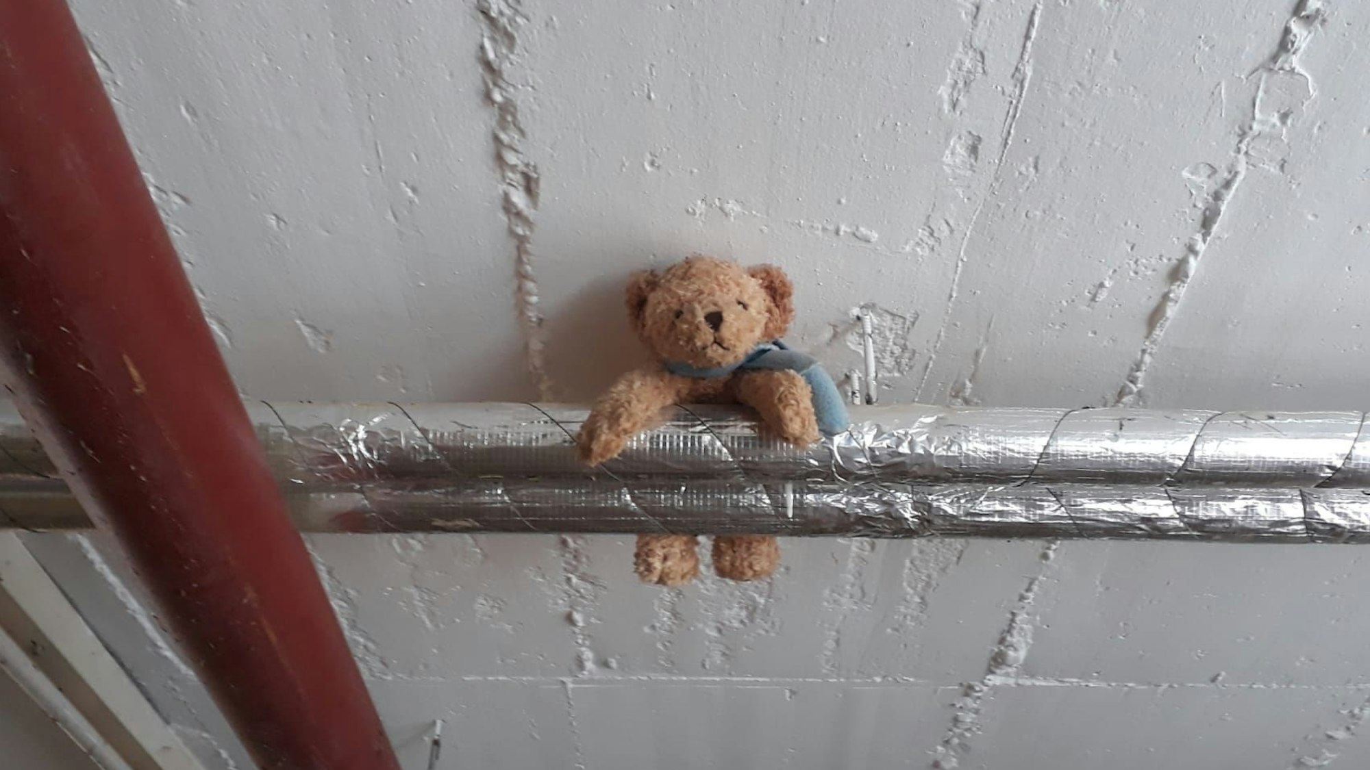 Dieser Teddy aus der Spielzeugabteilung hatte die Flut „überlebt“. Das Team nahm es als Zeichen und beschloss den Wiederaufbau. Doch am Ende ging der Wunsch nicht in Erfüllung. Es flossen viele Tränen.