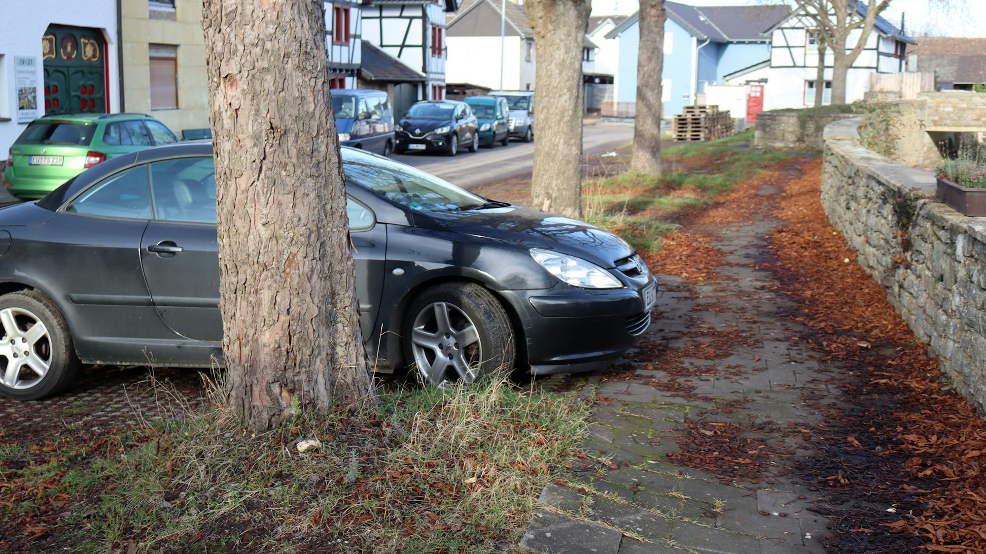 Ein Auto steht quer vor der Erftmauer, direkt neben einem Baum. Das ist in Zukunft untersagt.