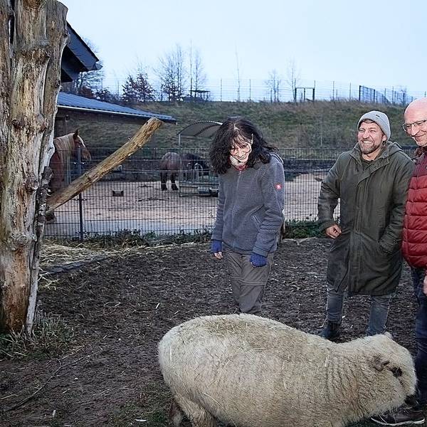 Marion Zöller, René Plamper und Bernd Hellgardt (v.l.) stehen zusammen mit einem Schaf auf dem Außengelände des Hasenberghofs.