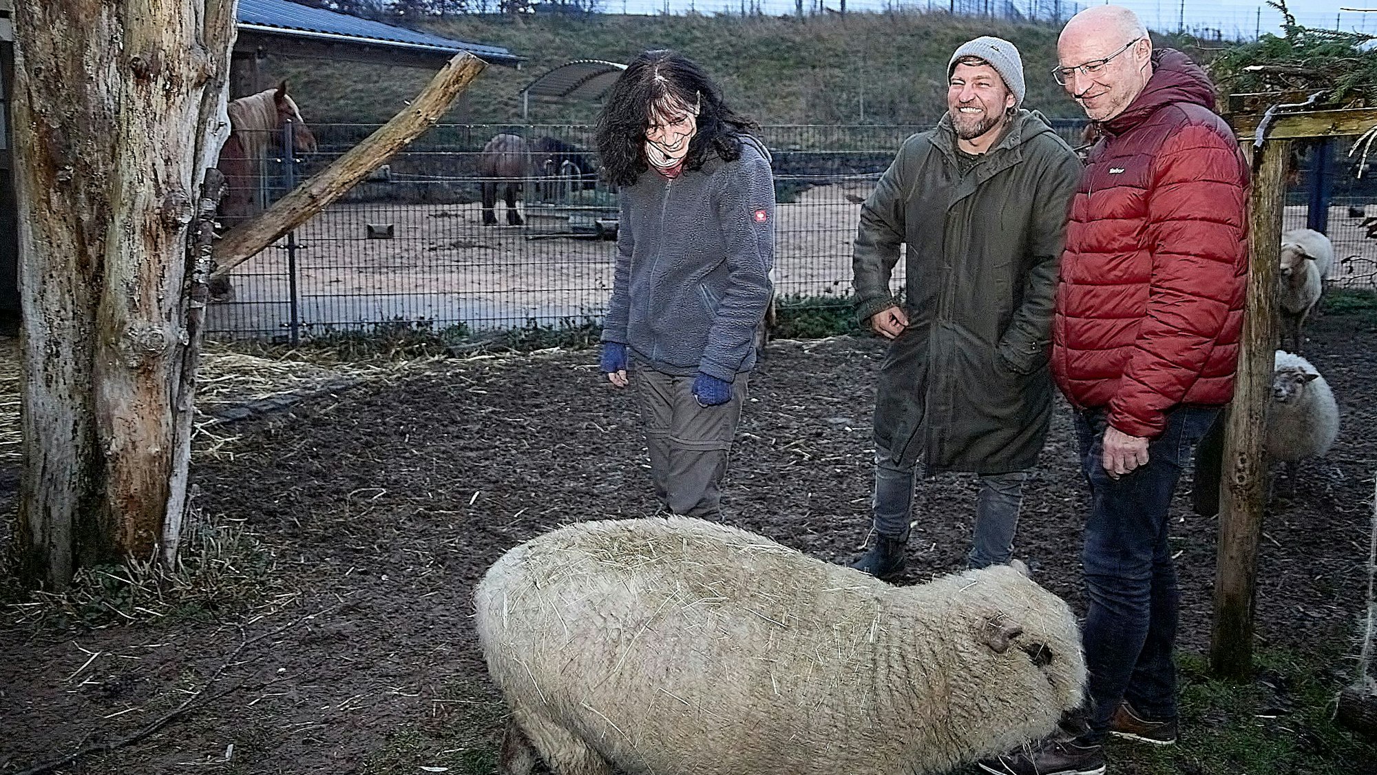 Marion Zöller, René Plamper und Bernd Hellgardt (v.l.) stehen zusammen mit einem Schaf auf dem Außengelände des Hasenberghofs.