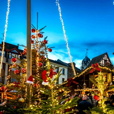 Geschmückte Tannenbäume beim Weihnachtsdorf auf dem Alten Markt in Euskirchen.