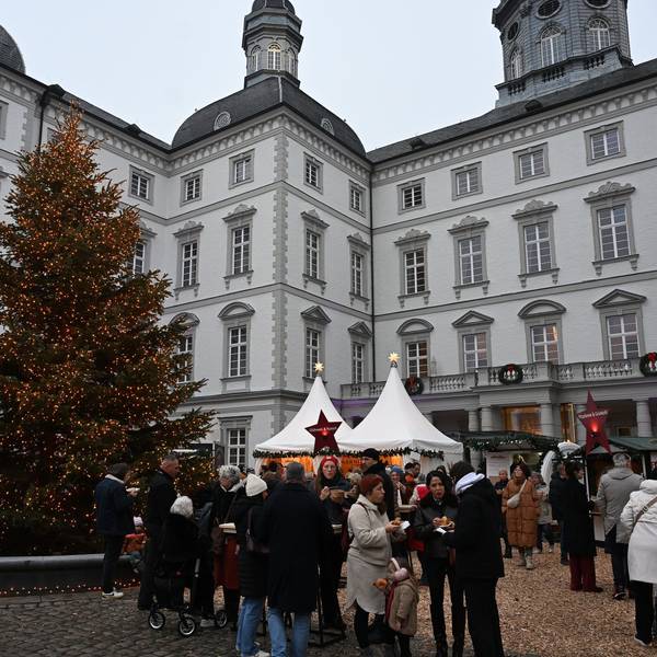 Das Foto zeigt den Weihnachtsmarkt vor der Schlosskulisse.