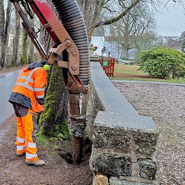 Arbeiter bedienen ein Spezialgerät an einer Kastanie, die nahe an einer Mauer steht.