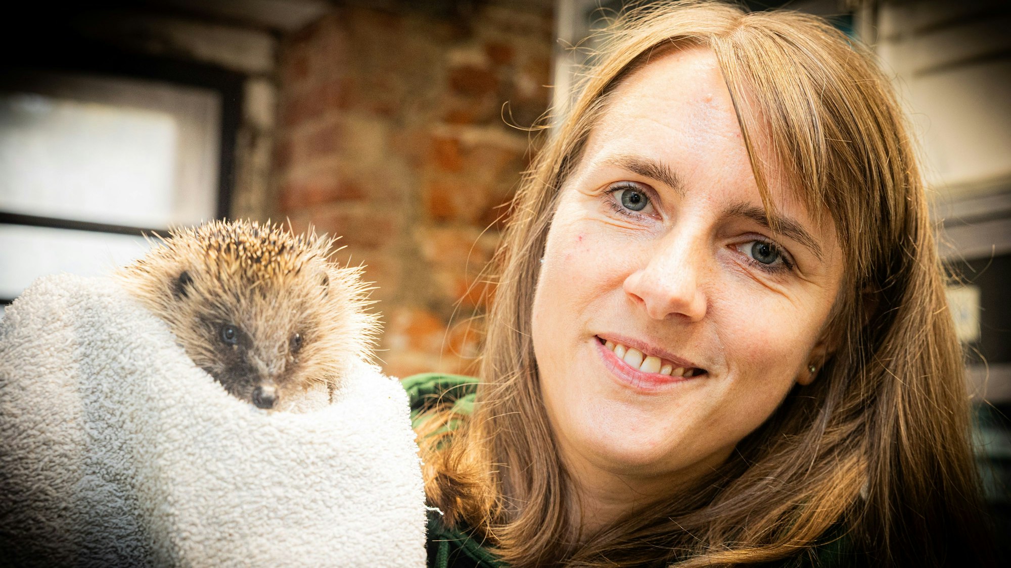 Susanne Mitlacher hält einen Igel in einem Handtuch.