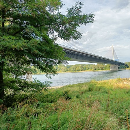 Voraussichtlich ab Mitte Januar dürfen Fahrzeuge mit mehr als 7,5 Tonnen Gewicht nicht mehr über die Bonner Nordbrücke der A565 fahren.