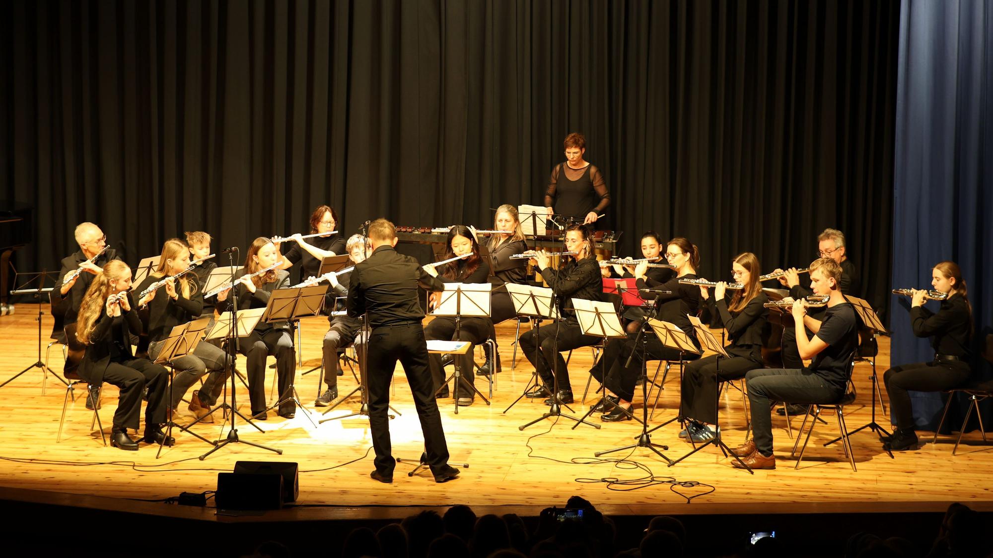 Die Musiker sitzen im Halbkreis auf der Bühne, der Dirigent ist von hinten zu sehen.