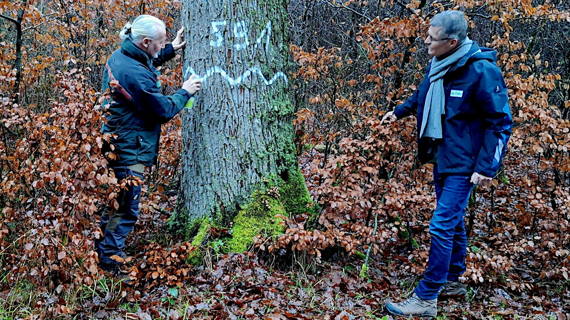 Zwei Männer stehen an einem Baum, der mit der Nummer 591 gekennzeichnet worden ist.